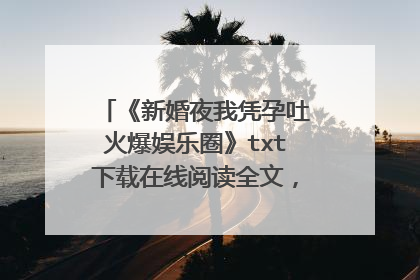 《新婚夜我凭孕吐火爆娱乐圈》txt下载在线阅读全文，求百度网盘云资源