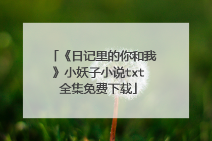《日记里的你和我》小妖子小说txt全集免费下载
