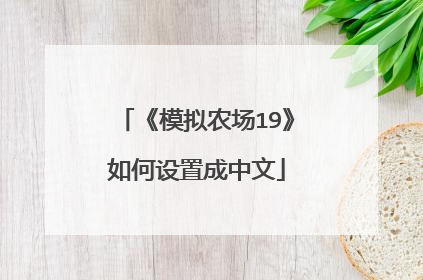 《模拟农场19》如何设置成中文