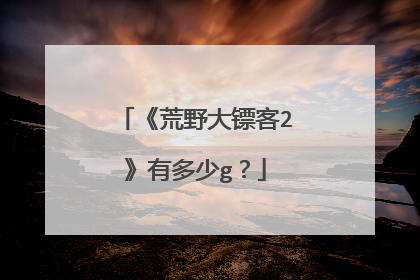 《荒野大镖客2》有多少g?
