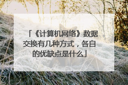 《计算机网络》数据交换有几种方式,各自的优缺点是什么