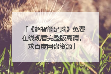 《超智能足球》免费在线观看完整版高清,求百度网盘资源