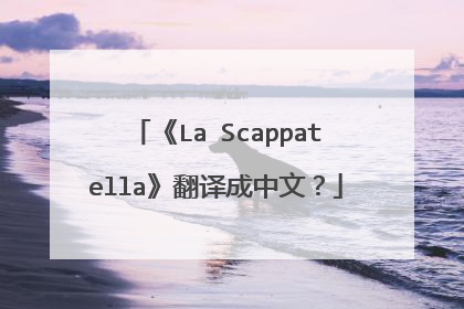 《La Scappatella》翻译成中文？