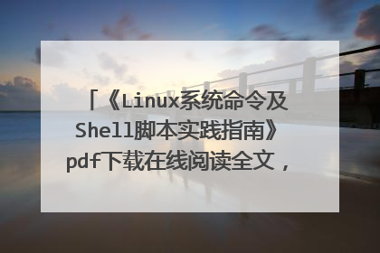 《Linux系统命令及Shell脚本实践指南》pdf下载在线阅读全文,求百度网盘云资源