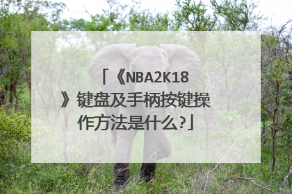 《NBA2K18》键盘及手柄按键操作方法是什么?