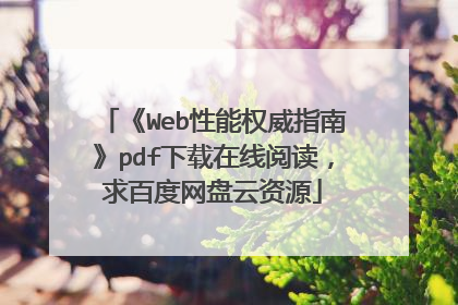 《Web性能权威指南》pdf下载在线阅读,求百度网盘云资源