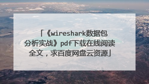 《wireshark数据包分析实战》pdf下载在线阅读全文，求百度网盘云资源