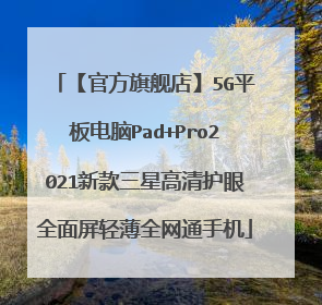 【官方旗舰店】5G平板电脑Pad+Pro2021新款三星高清护眼全面屏轻薄全网通手机