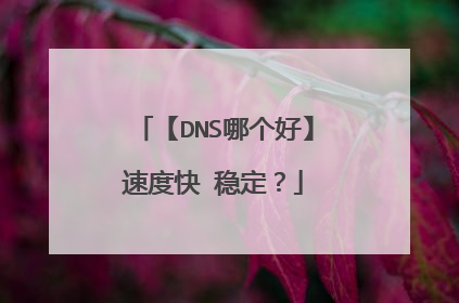 【DNS哪个好】速度快 稳定?
