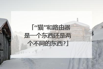 “猫”和路由器是一个东西还是两个不同的东西?