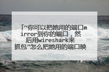 “你可以把她用的端口mirror到你的端口，然后用wireshark来抓包”怎么把她用的端口映射到自己的端口