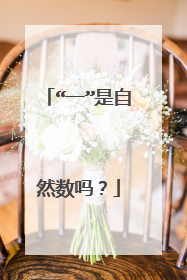 “一”是自然数吗？