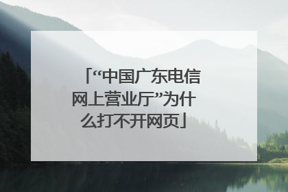 “中国广东电信网上营业厅”为什么打不开网页