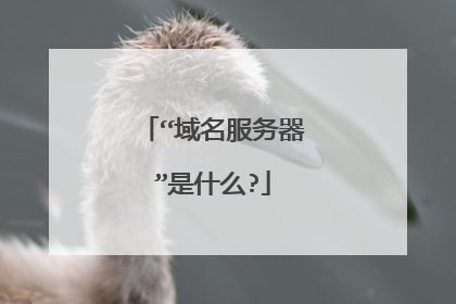 “域名服务器”是什么?