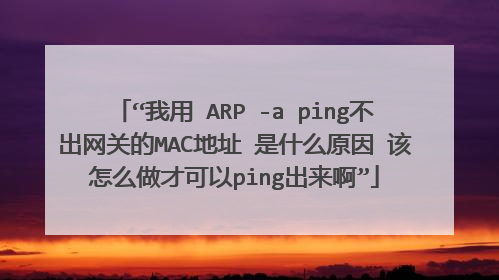 “我用 ARP -a ping不出网关的MAC地址 是什么原因 该怎么做才可以ping出来啊”