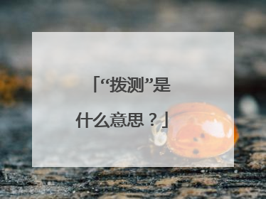 “拨测”是什么意思?
