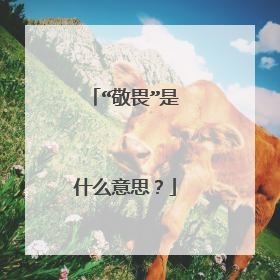 “敬畏”是什么意思?