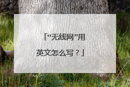 “无线网”用英文怎么写?