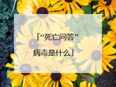 “死亡问答”病毒是什么