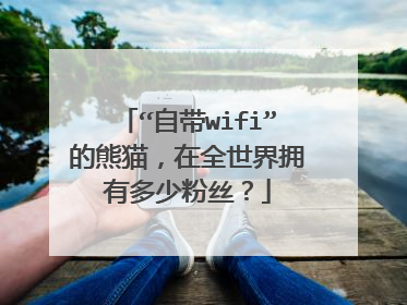 “自带wifi”的熊猫，在全世界拥有多少粉丝？