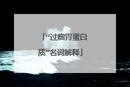 “过瘤胃蛋白质”名词解释