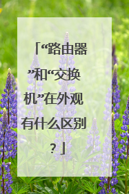 “路由器”和“交换机”在外观有什么区别？