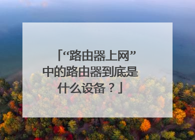 “路由器上网”中的路由器到底是什么设备？