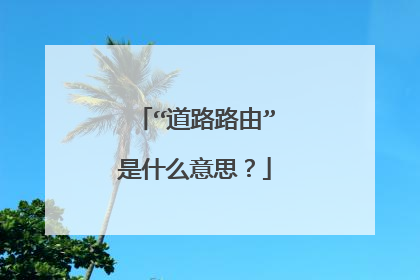 “道路路由”是什么意思？