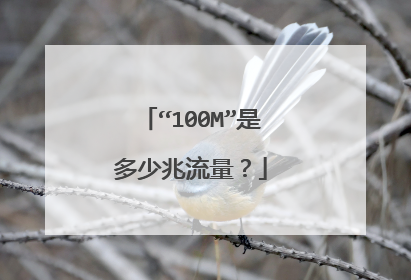 “100M”是多少兆流量？