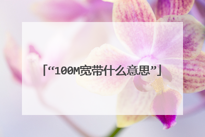 “100M宽带什么意思”