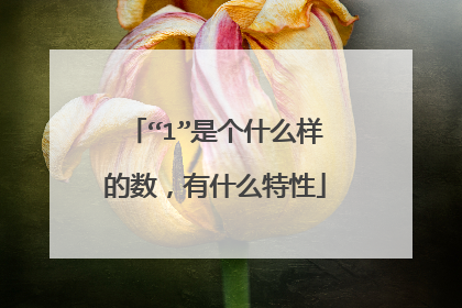 “1”是个什么样的数，有什么特性