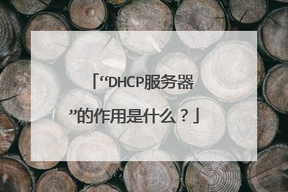 “DHCP服务器”的作用是什么？