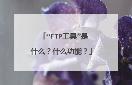 “FTP工具”是什么？什么功能？