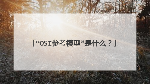 “OSI参考模型”是什么？