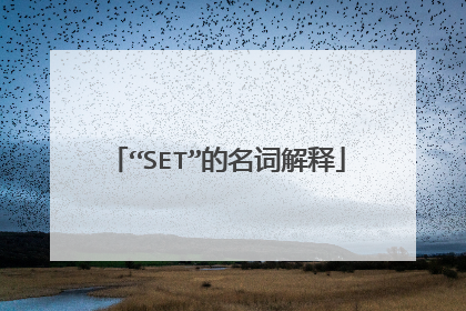 “SET”的名词解释