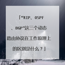 “RIP、OSPF、BGP”这三个动态路由协议在工作原理上的区别是什么？