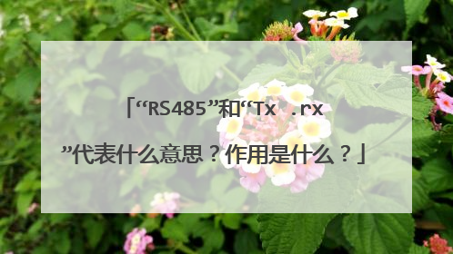 “RS485”和“Tx .rx”代表什么意思？作用是什么？