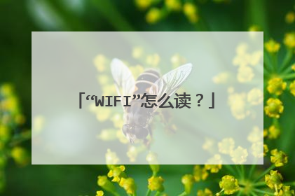 “WIFI”怎么读?