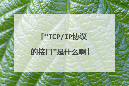 “TCP/IP协议的接口”是什么啊