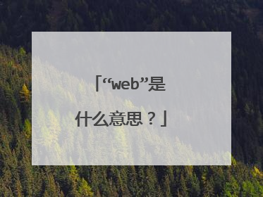 “web”是什么意思？