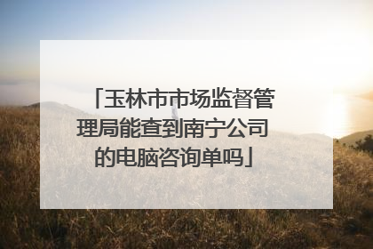 玉林市市场监督管理局能查到南宁公司的电脑咨询单吗