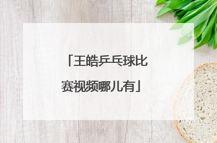 王皓乒乓球比赛视频哪儿有