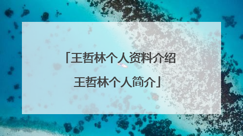 王哲林个人资料介绍 王哲林个人简介