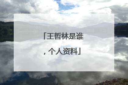 王哲林是谁,个人资料