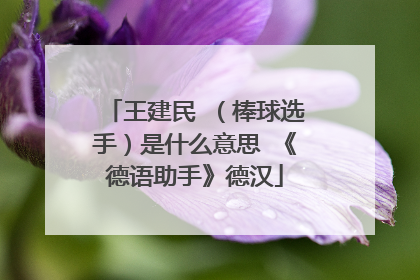 王建民 （棒球选手）是什么意思 《德语助手》德汉