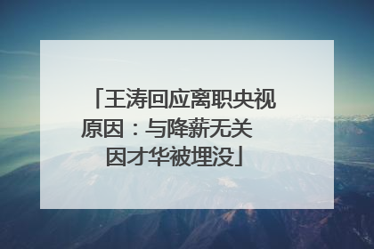 王涛回应离职央视原因：与降薪无关 因才华被埋没