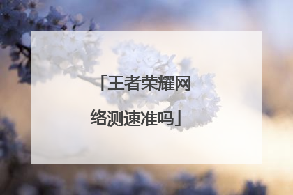 王者荣耀网络测速准吗