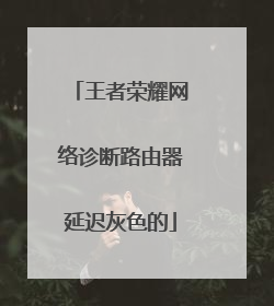 王者荣耀网络诊断路由器延迟灰色的