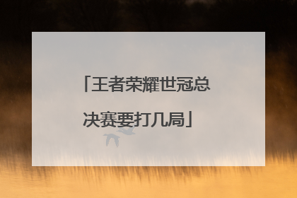 王者荣耀世冠总决赛要打几局