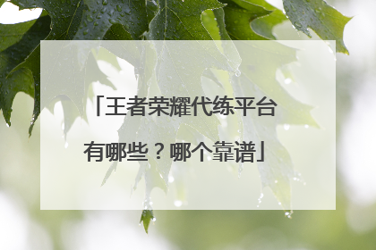 王者荣耀代练平台有哪些？哪个靠谱